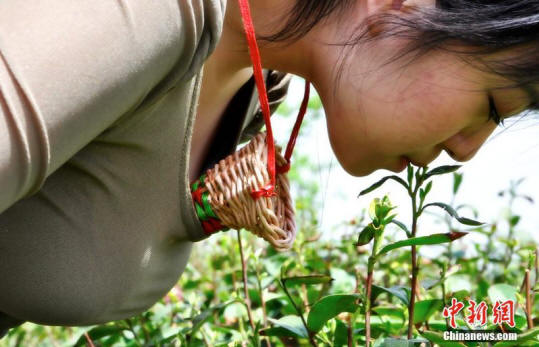 wierdchina10 10 изключителни неща, които можете да закупите в Китай