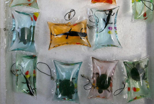 wierdchina08 10 изключителни неща, които можете да закупите в Китай