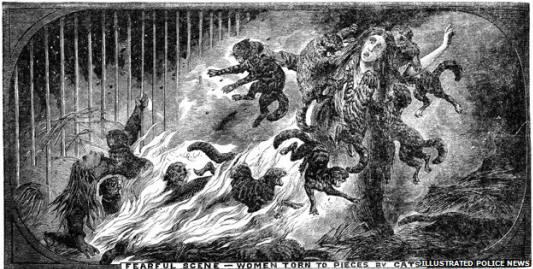 _71735015_women котки