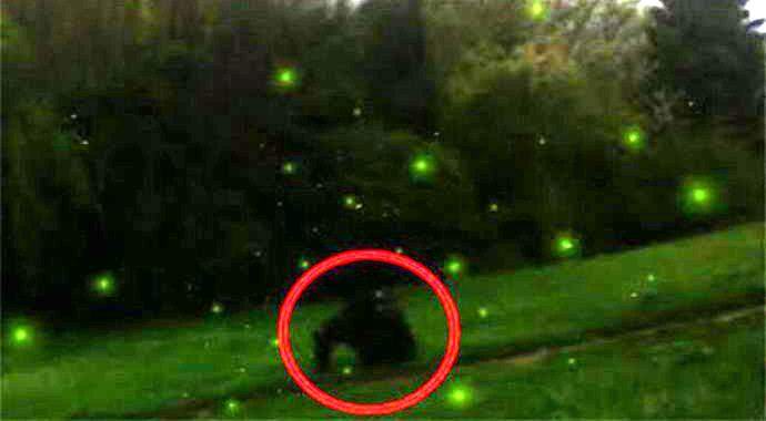 „Американците