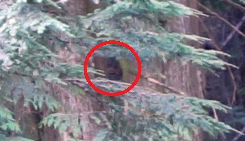 „Американецът