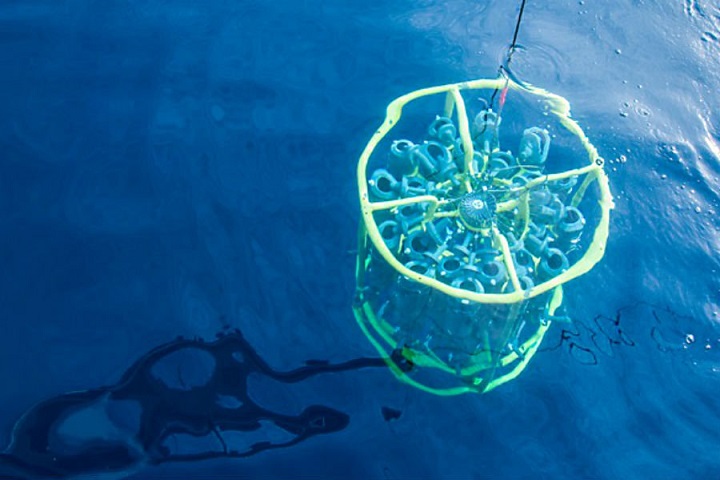 Американските военни експериментират отново с бактерии