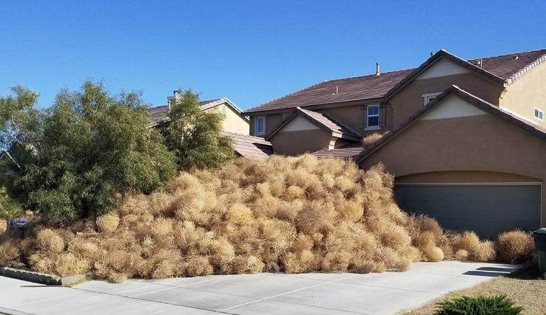 Американски град масово