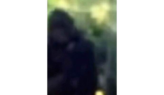 Американски полицай е снимал йети