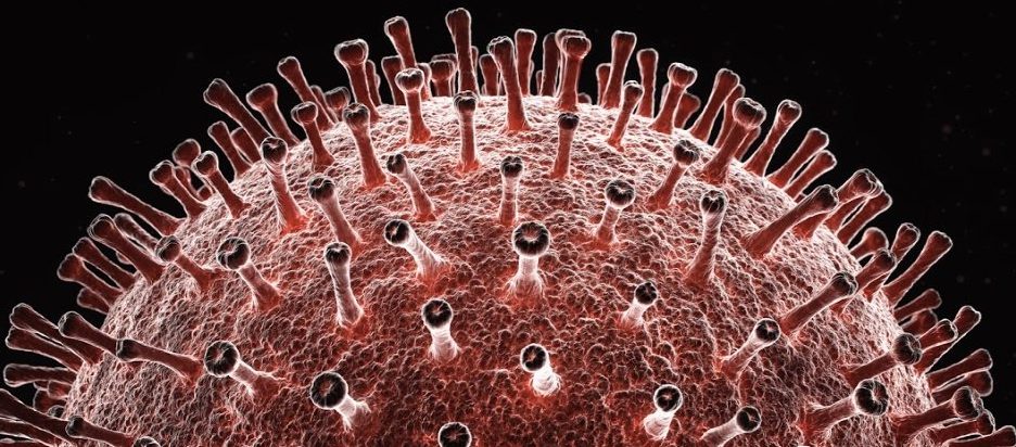 Анализът на генома разкрива, че коронавирусът може да е „химера“ на два различни вируса 