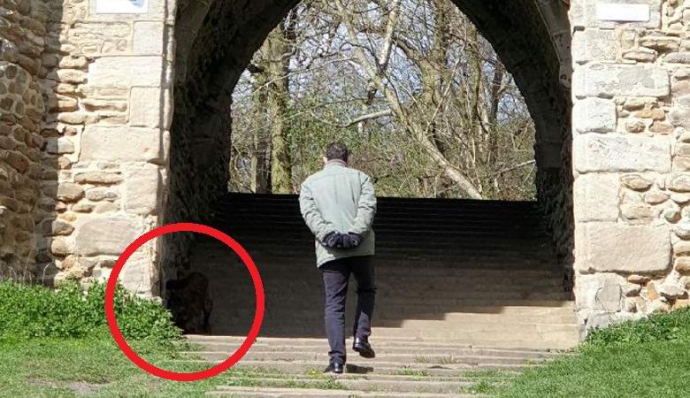 Англичанката залови непонятно същество в парка