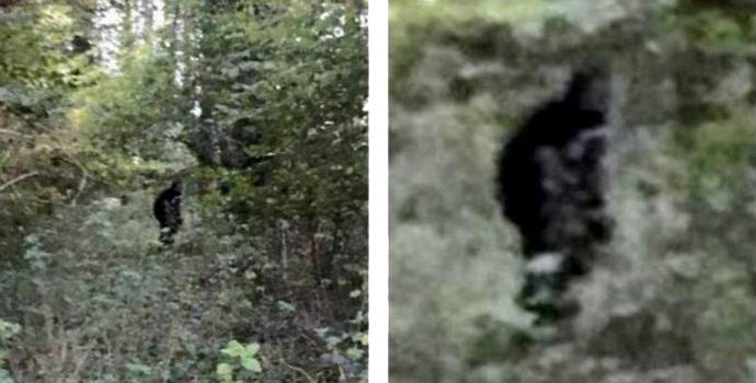 „Английският