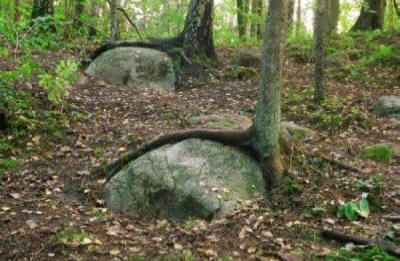 А номален център на Земята