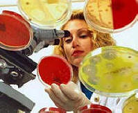 Антибиотиците забавят процеса на стареене