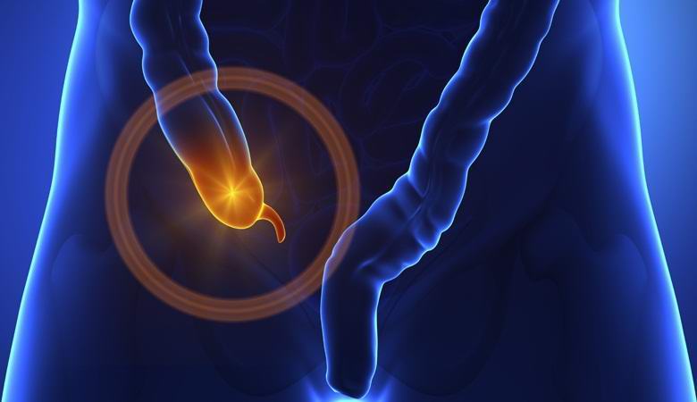 Апендиксът се оказа жизненоважен орган