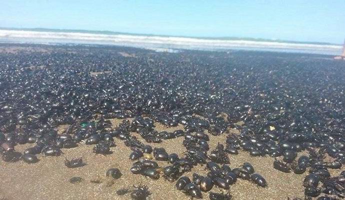 Аржентина сполетя