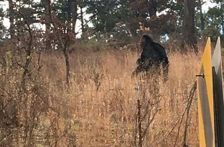 Австралиецът се срещна с Йови и не се уплаши много от тази среща.