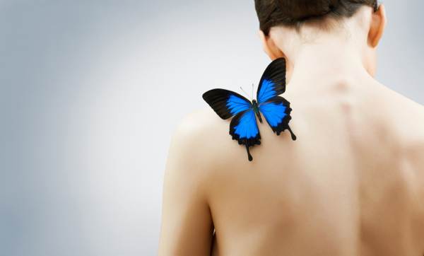 пеперуда седна на рамото 