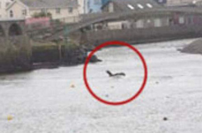 „Чудовището