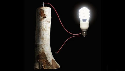 Батериите могат да бъдат направени от дърво