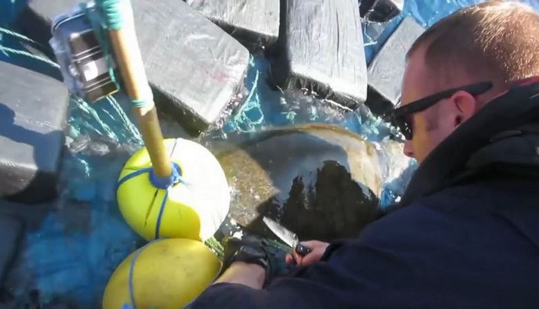 Бреговата охрана на САЩ хвана костенурка с 800 кг кокаин