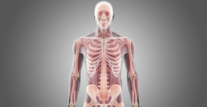 Безсмъртието на човека - може би в близко бъдеще