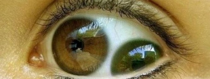 Има ли двоен ученик?