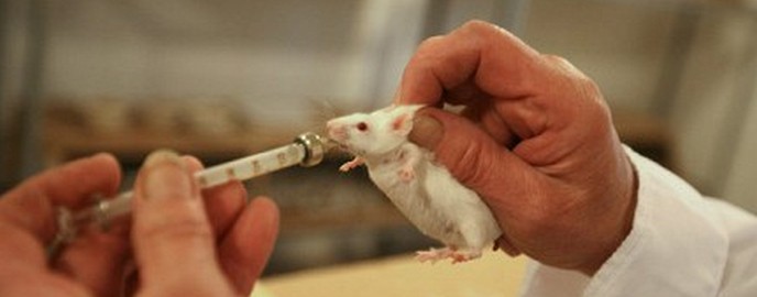 Болката може да бъде блокирана от светлина.