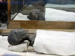 Британски учени: Тутанкамон загина при инцидент