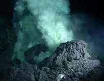 „Царството