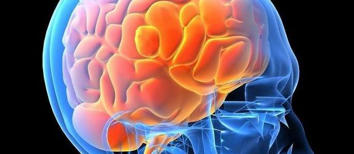 Човешкият мозък помни думите като изображения