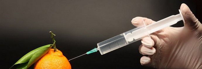 Човечеството ще унищожи ГМО