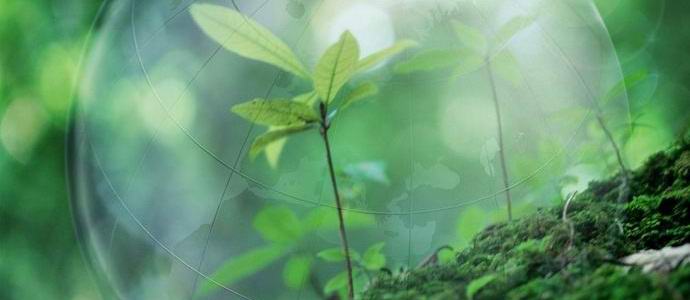 „Човечеството