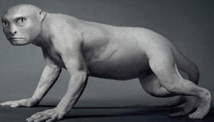 Човекът слезе ли от плъх?