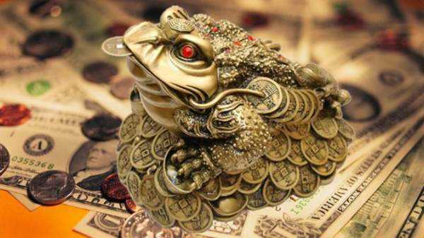 Жабата е същество, което символизира материалната стабилност 