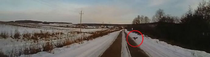 Чупакабра или какво?