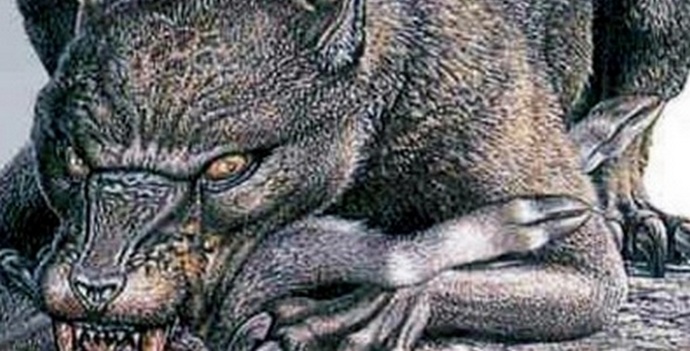 „Чупакабра