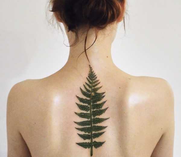 Татуировка на папрат  