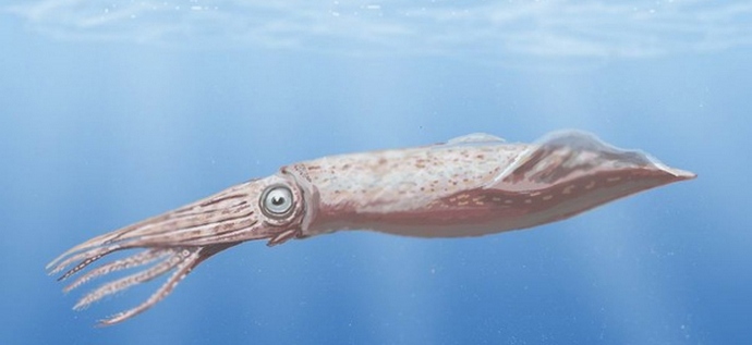 Водолазите са открили нещо странно.