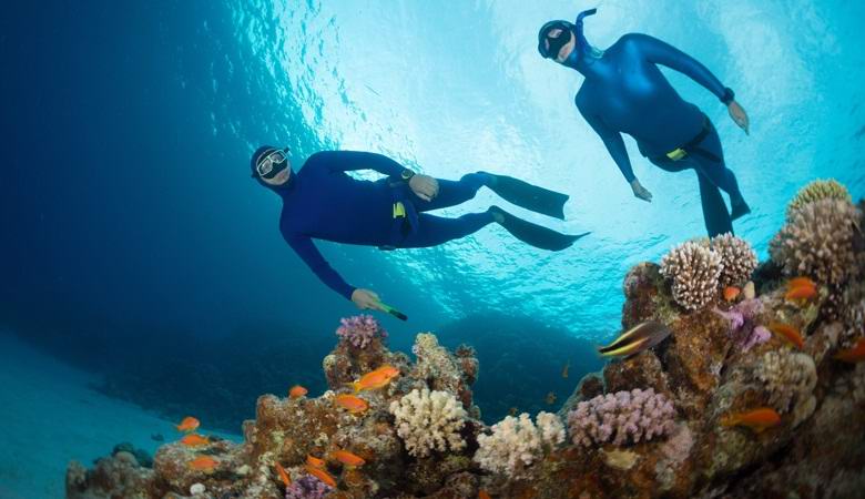 Водолазите се оплакват от плашещи звуци, идващи от дълбините на Червено море.