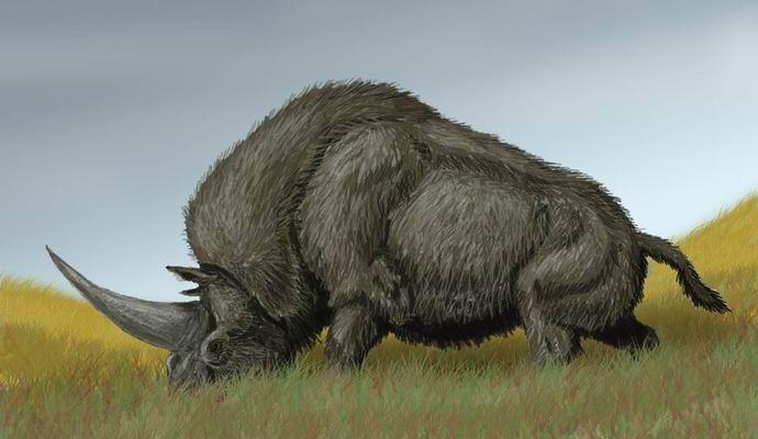 Древните предци на казахите са живели по времето на еднорозите?