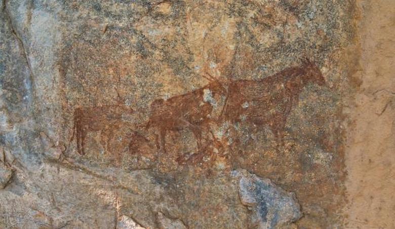 Древните жители на Африканска Танзания изобразявали комети върху камъните