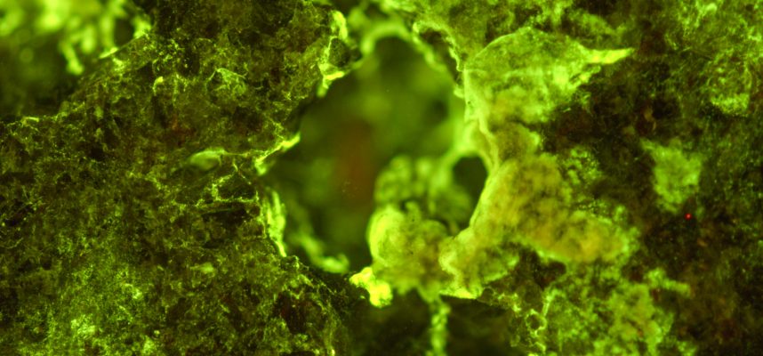 Експериментът на МКС показва как можете да добивате фосили в космоса с 400% ефективност 