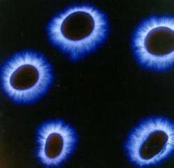 „Енергийни