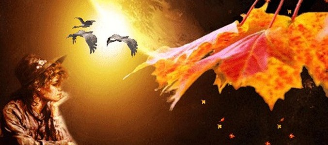 Ако младостта знаеше ...