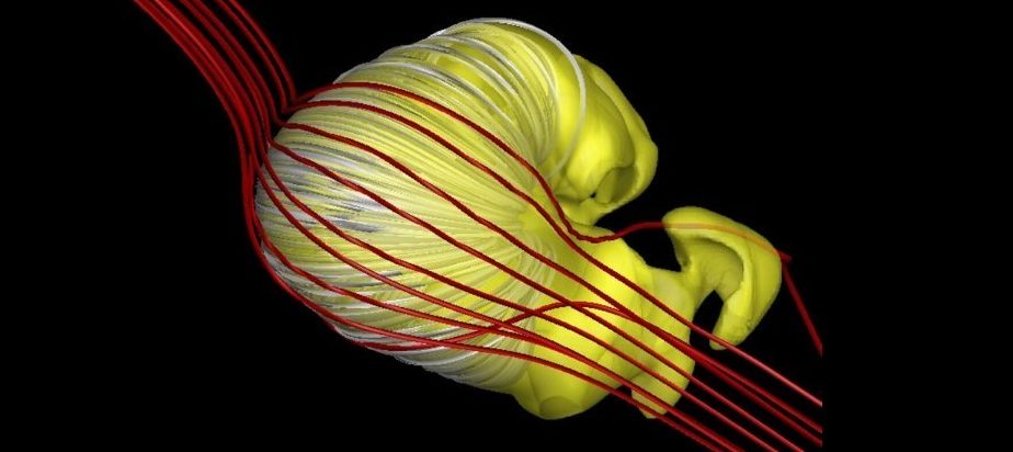 Тази странна форма всъщност може да изглежда как изглежда магнитният балон на нашето Слънце. 