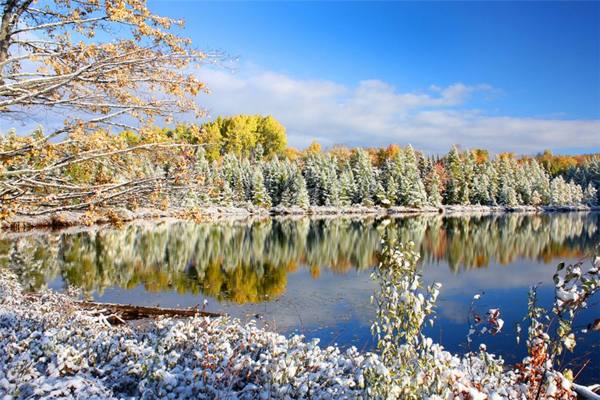 подписва на 11 ноември 