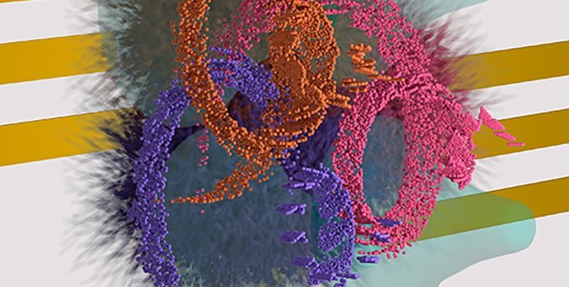 Физиците откриват признаци на неуловима форма на магнетизъм, предсказана преди 50 години 