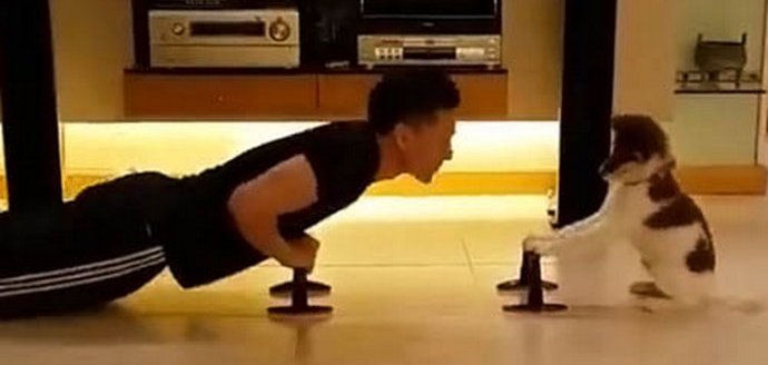 Физическо възпитание за двойка с кученце