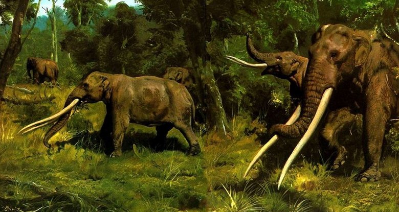 Френският фермер намери черепа на полумитично животно и го скри 4 години.