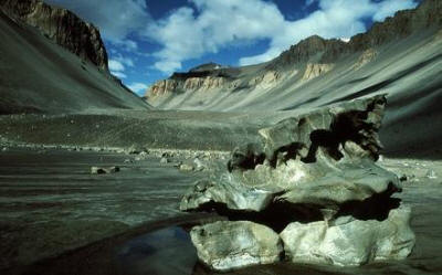Къде е най-сухото място на Земята?