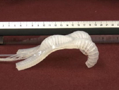 мек робот flexibot-1322569462509