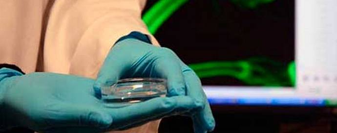 „Младежкият