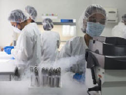 Генетиката откри, когато смесването на народите, обитаващи Земята