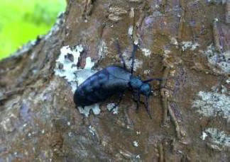 „Градовете